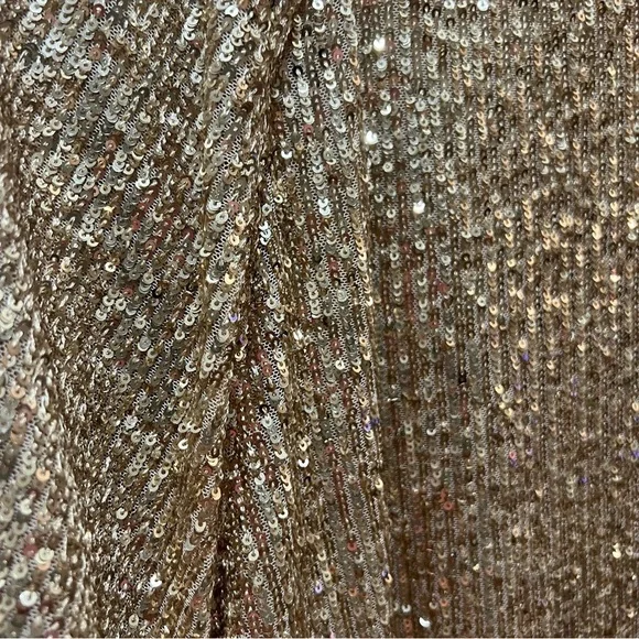 Ann Taylor gold sequin raglan sleeve top  short sleeves large NWT - Picture 5 of 8